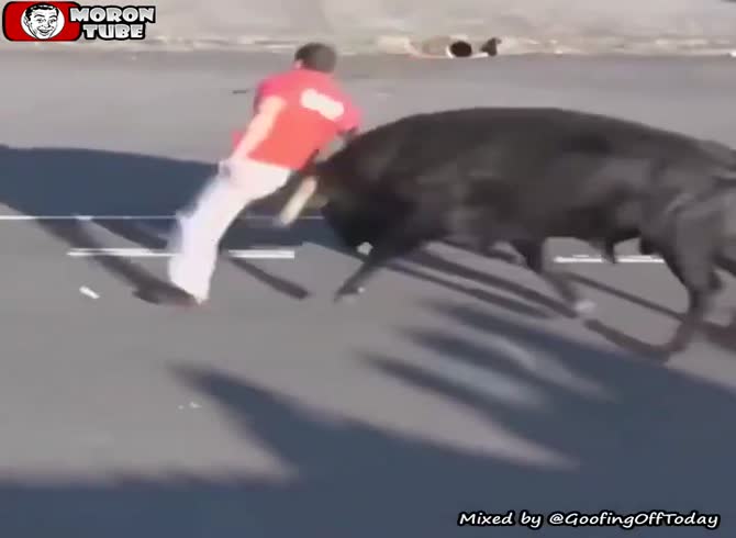 Video :Bulls' Retaliation - A Collection